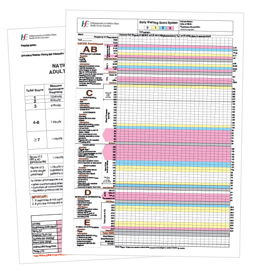 The Paper Form - Vitro EMR